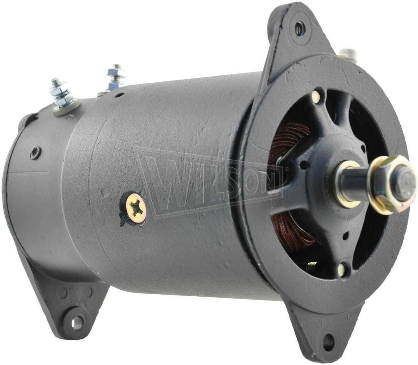 Wilson Generator 92-01-3002