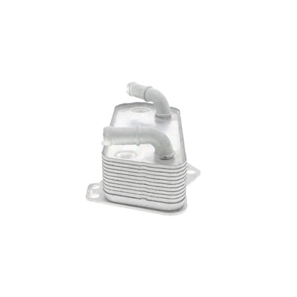 VEMO Engine Oil Cooler V10-60-0008