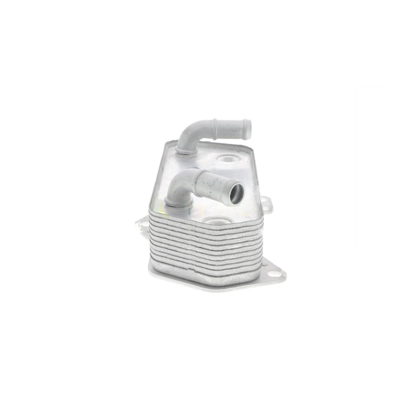 VEMO Engine Oil Cooler V10-60-0008