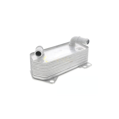VEMO Engine Oil Cooler V10-60-0008