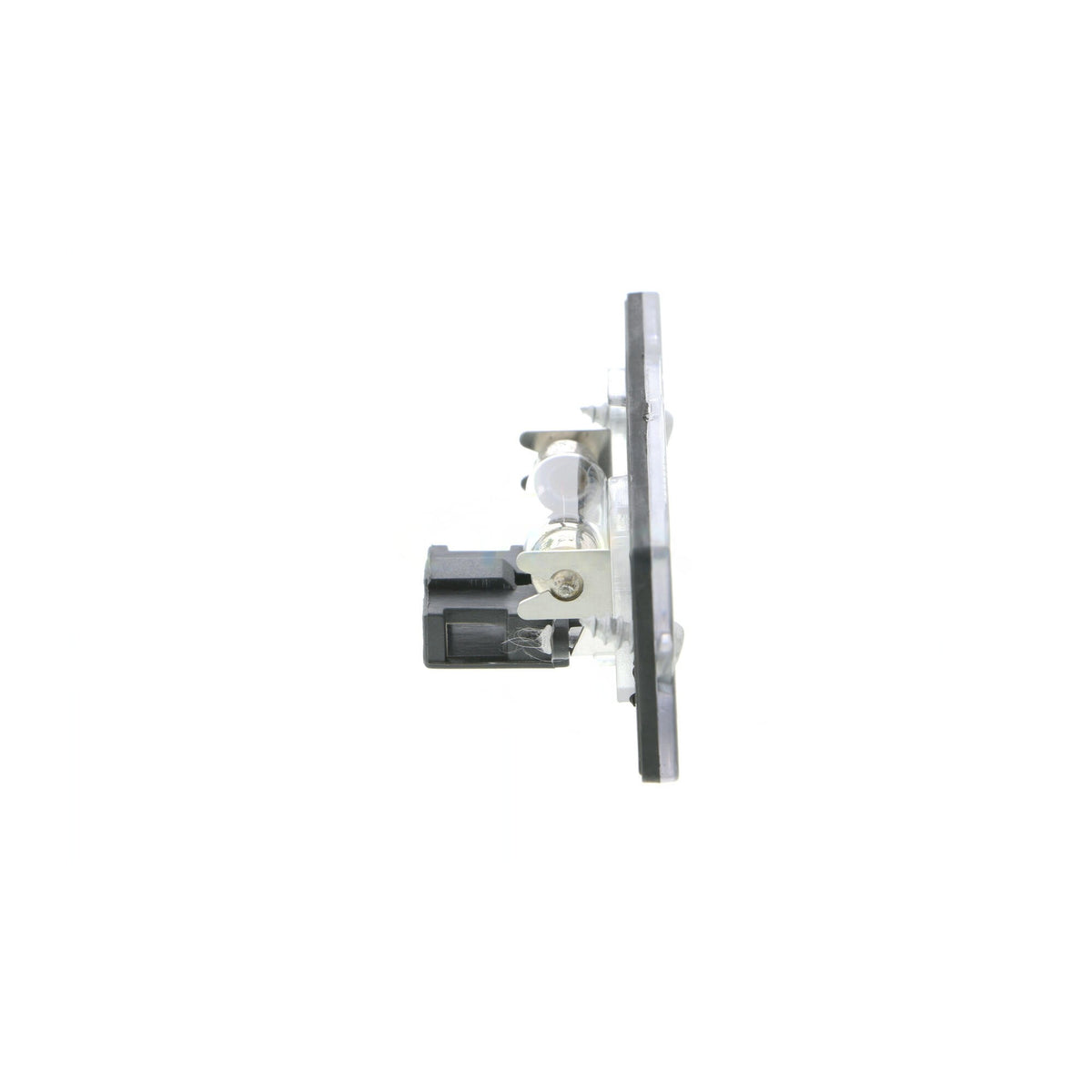VEMO License Plate Light V10-84-0030