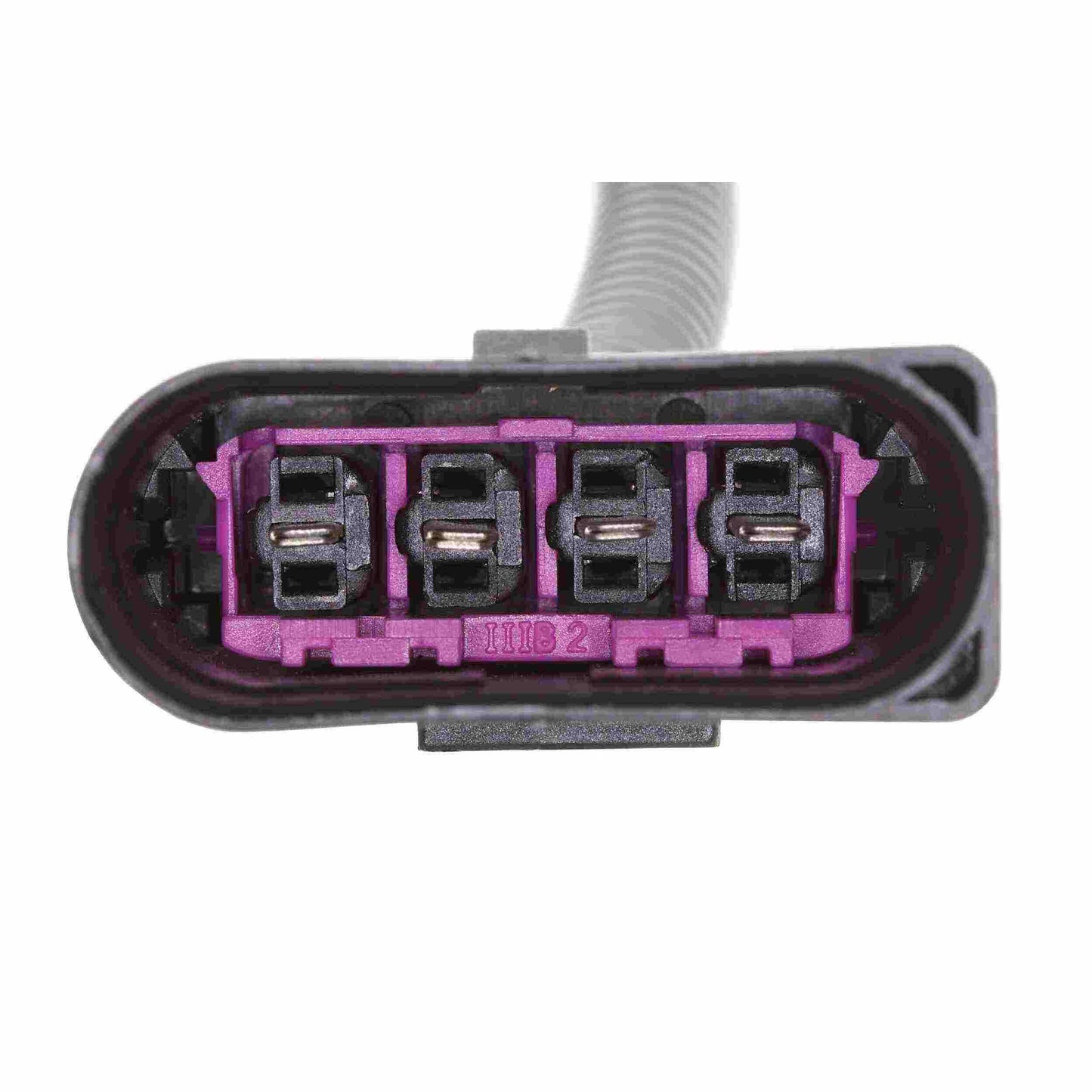 VEMO Hood Lock V10-85-2344