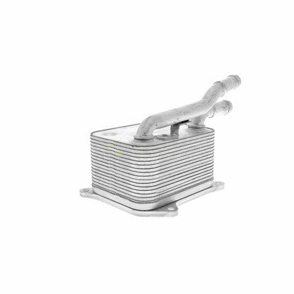 VEMO Engine Oil Cooler V15-60-0017