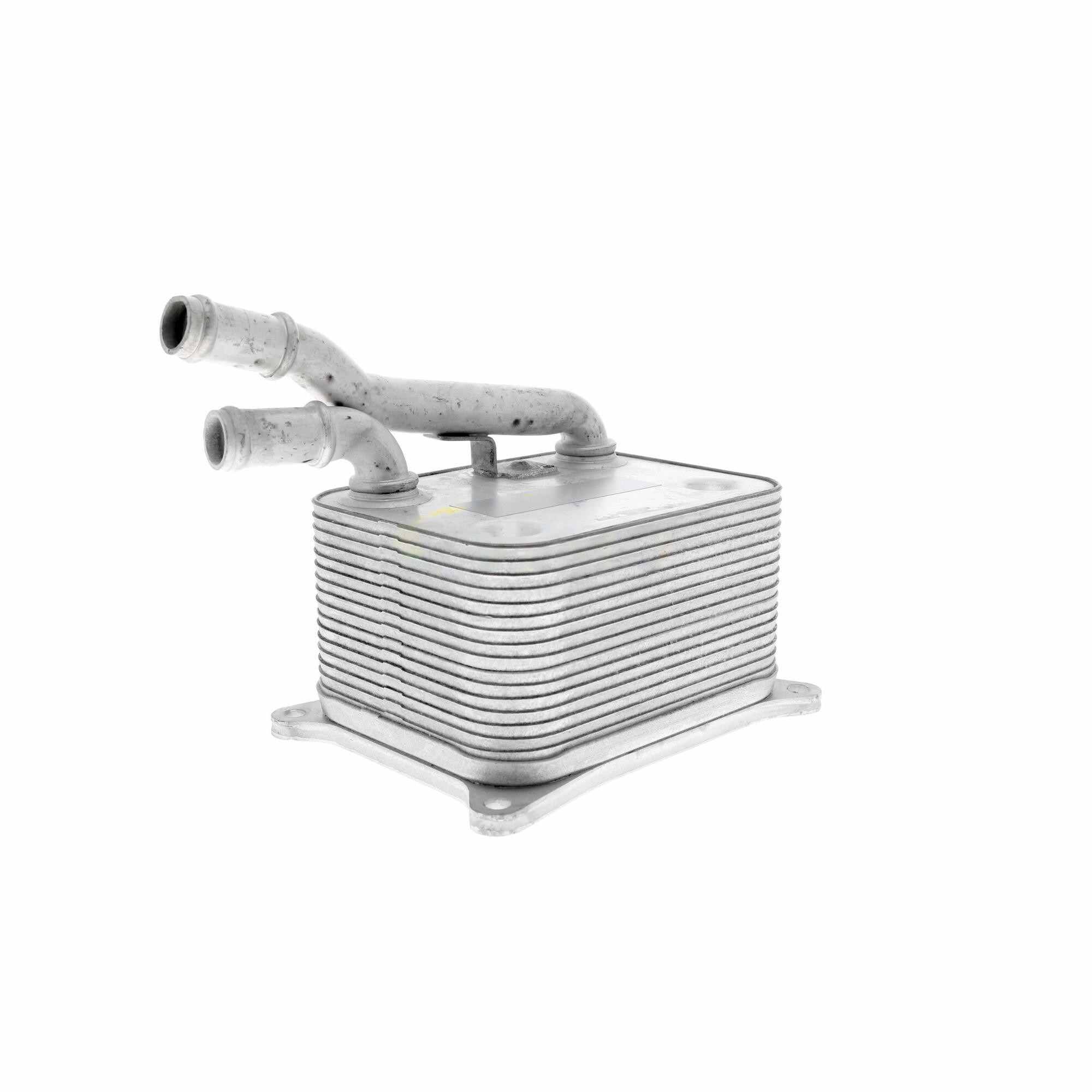 VEMO Engine Oil Cooler V15-60-0017