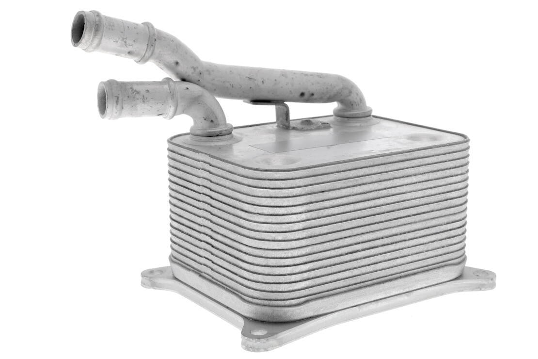 VEMO Engine Oil Cooler V15-60-0017