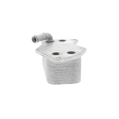 VEMO Engine Oil Cooler V15-60-6074