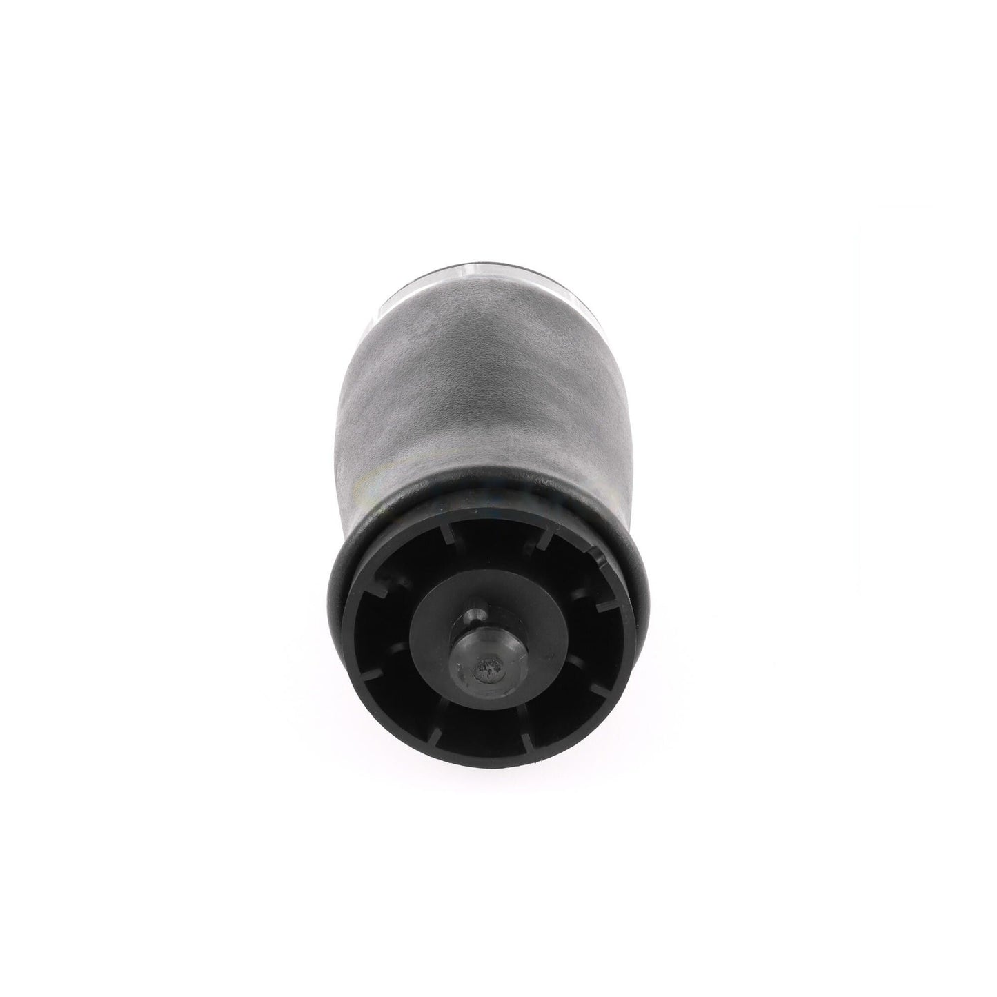 VEMO Air Suspension Strut V20-50-0003-1