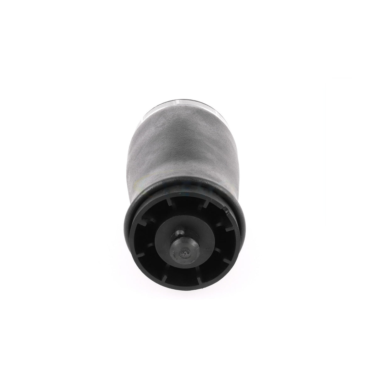 VEMO Air Suspension Strut V20-50-0003-1