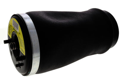 VEMO Air Suspension Strut V20-50-0004-1