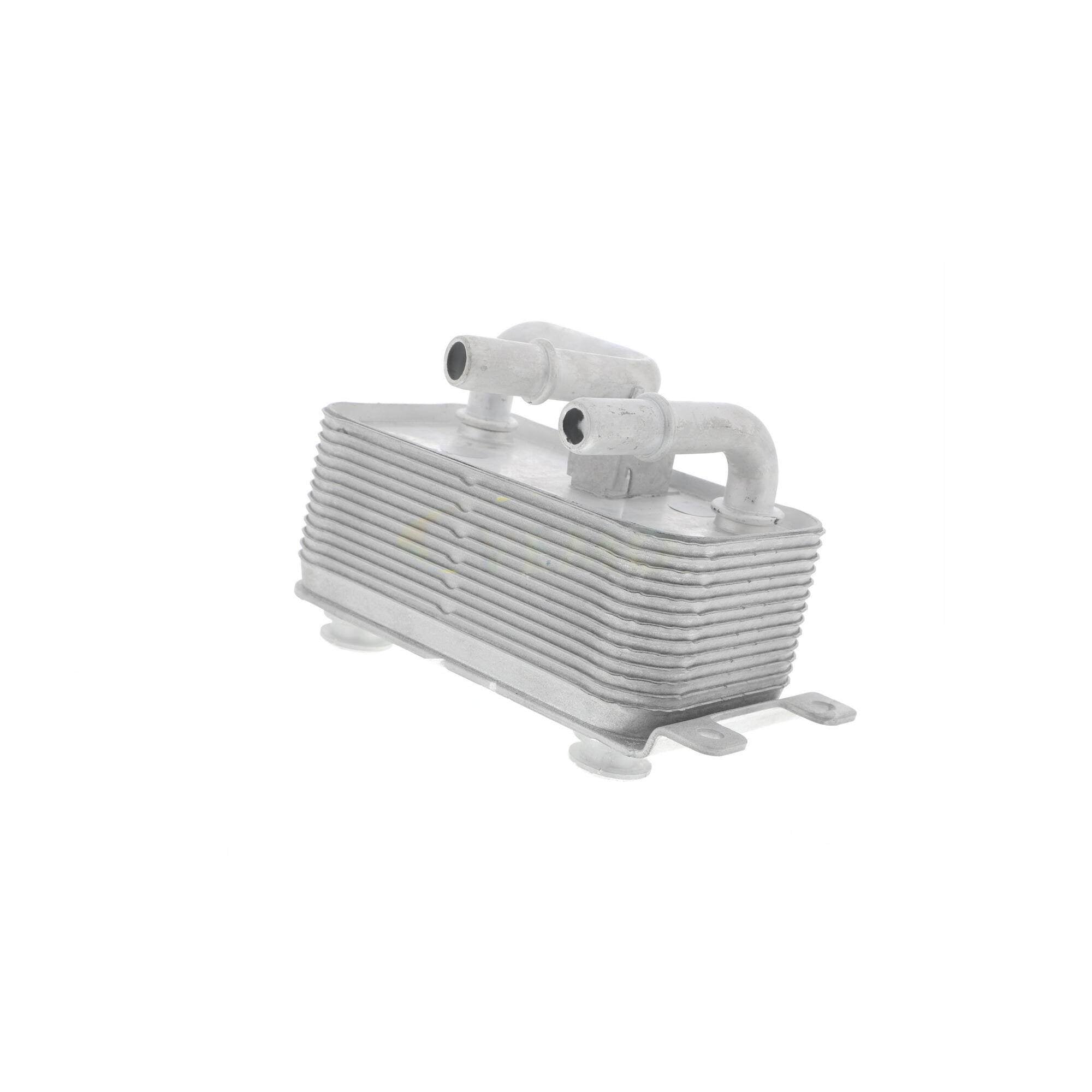 VEMO Engine Oil Cooler V20-60-0001