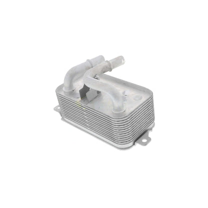 VEMO Engine Oil Cooler V20-60-0001