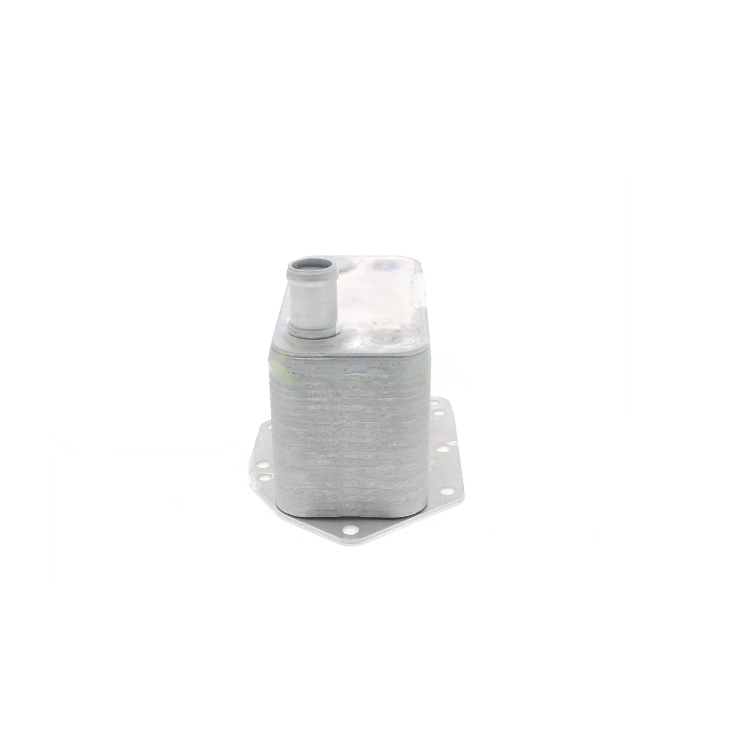 VEMO Engine Oil Cooler V20-60-0042