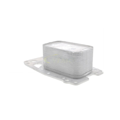 VEMO Engine Oil Cooler V20-60-0076