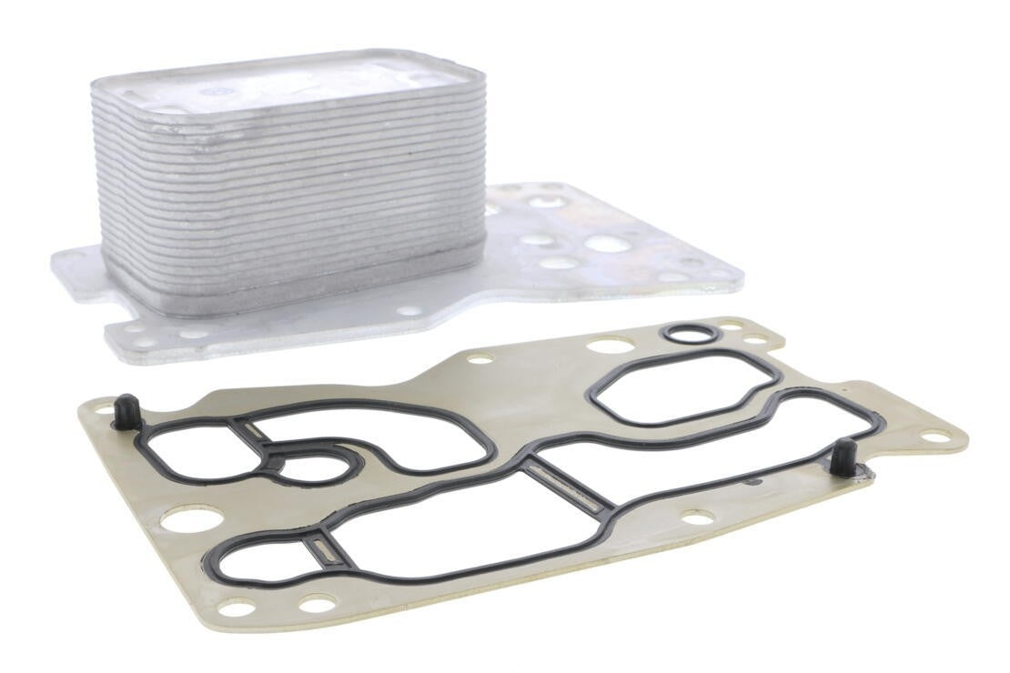 VEMO Engine Oil Cooler V20-60-0076