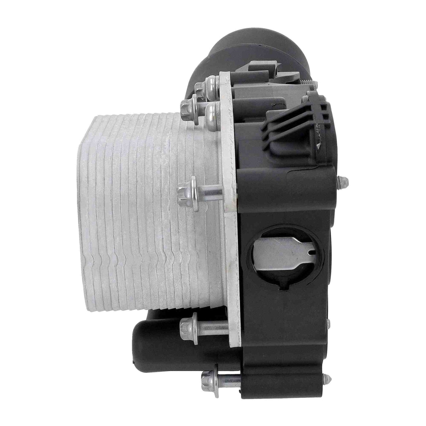 VEMO Engine Oil Cooler V20-60-1569