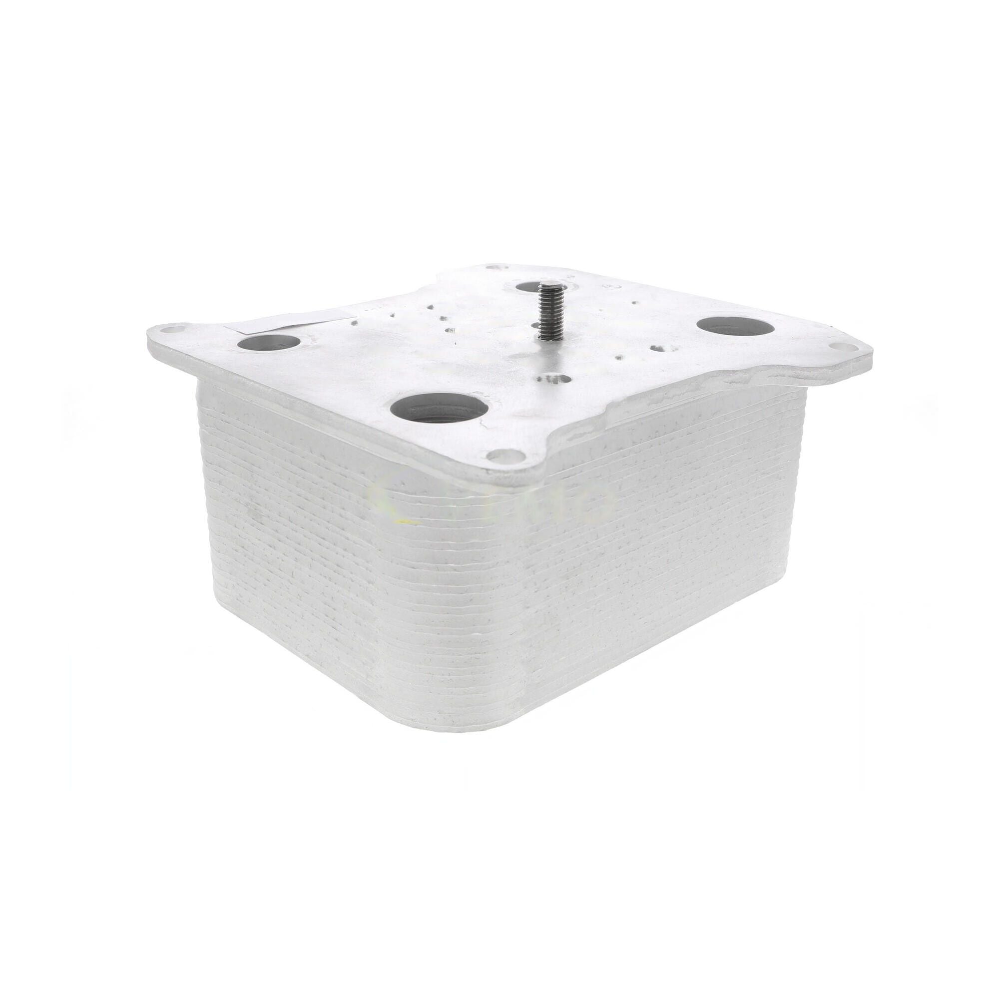 VEMO Engine Oil Cooler V25-60-0042