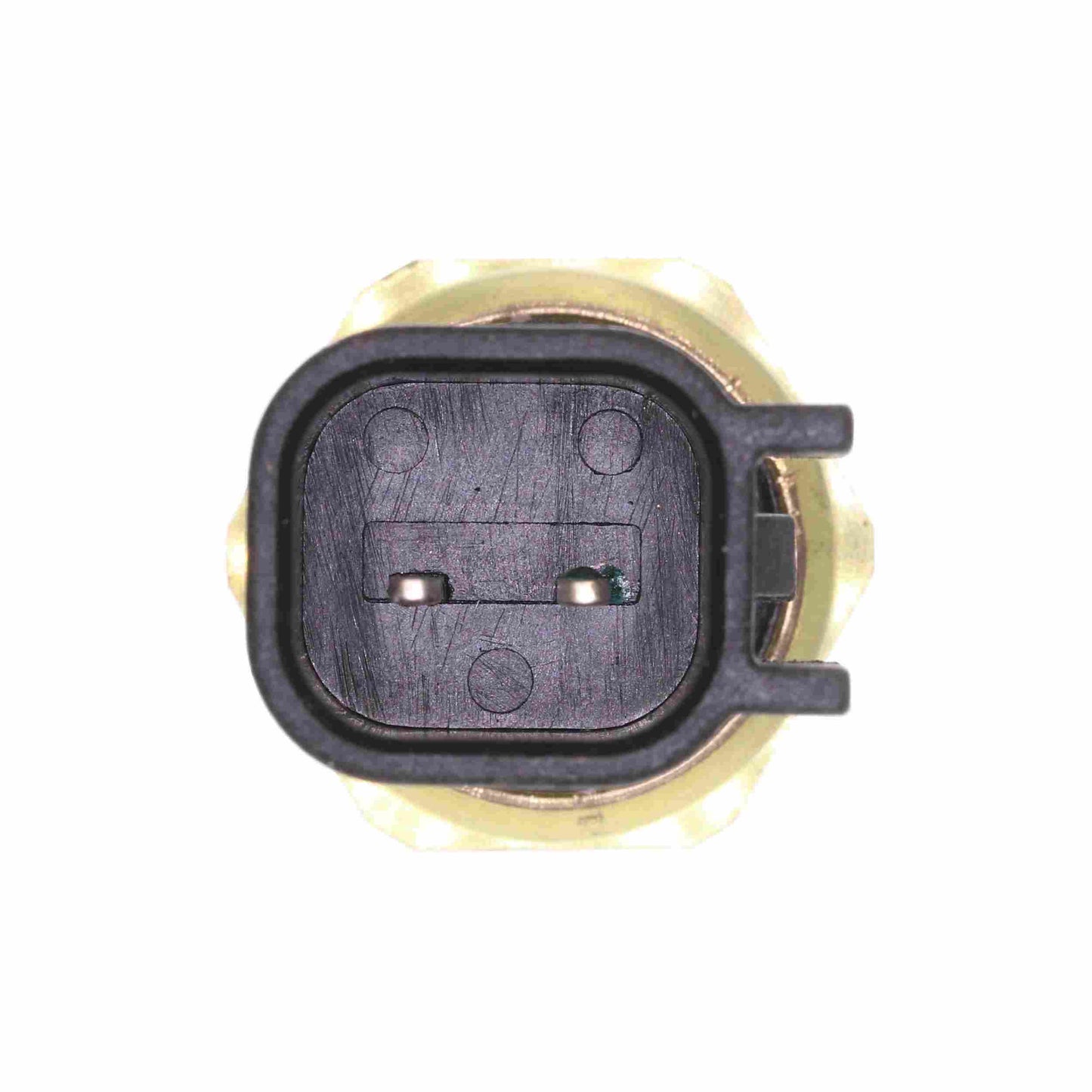 VEMO Engine Cylinder Head Temperature Sensor V25-72-0224