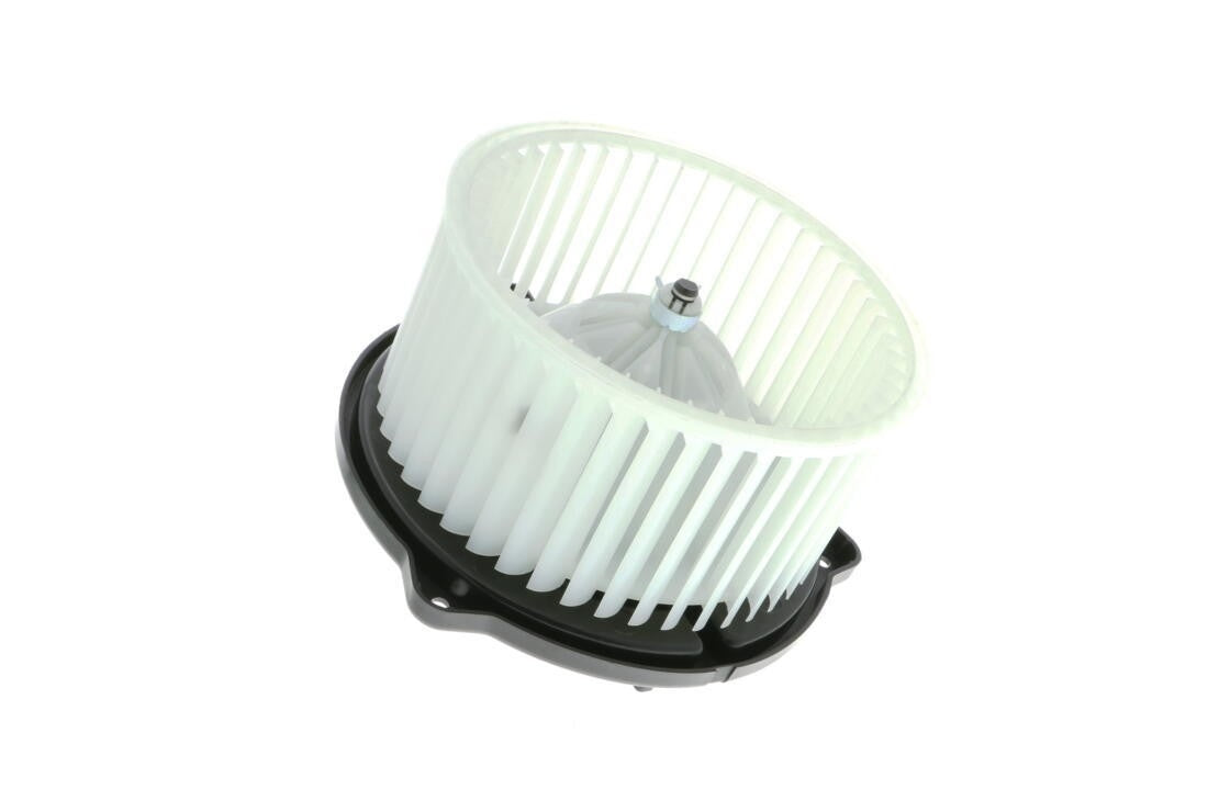 VEMO HVAC Blower Motor V30-03-1778