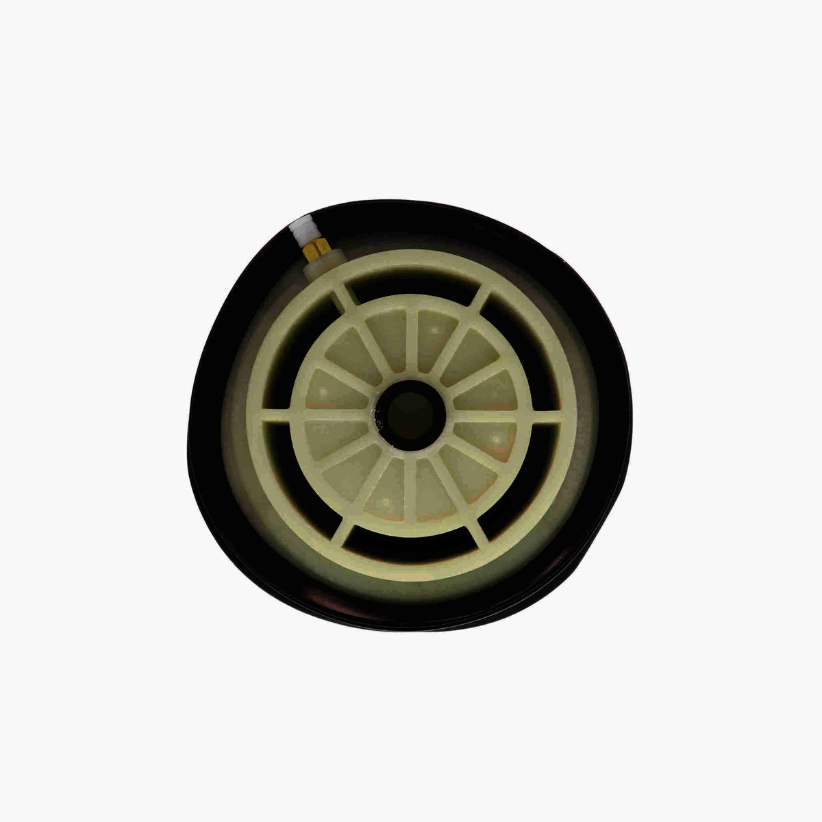 VEMO Air Suspension Strut V30-50-0003-1