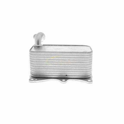 VEMO Engine Oil Cooler V30-60-1342
