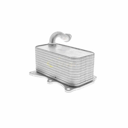 VEMO Engine Oil Cooler V30-60-1342