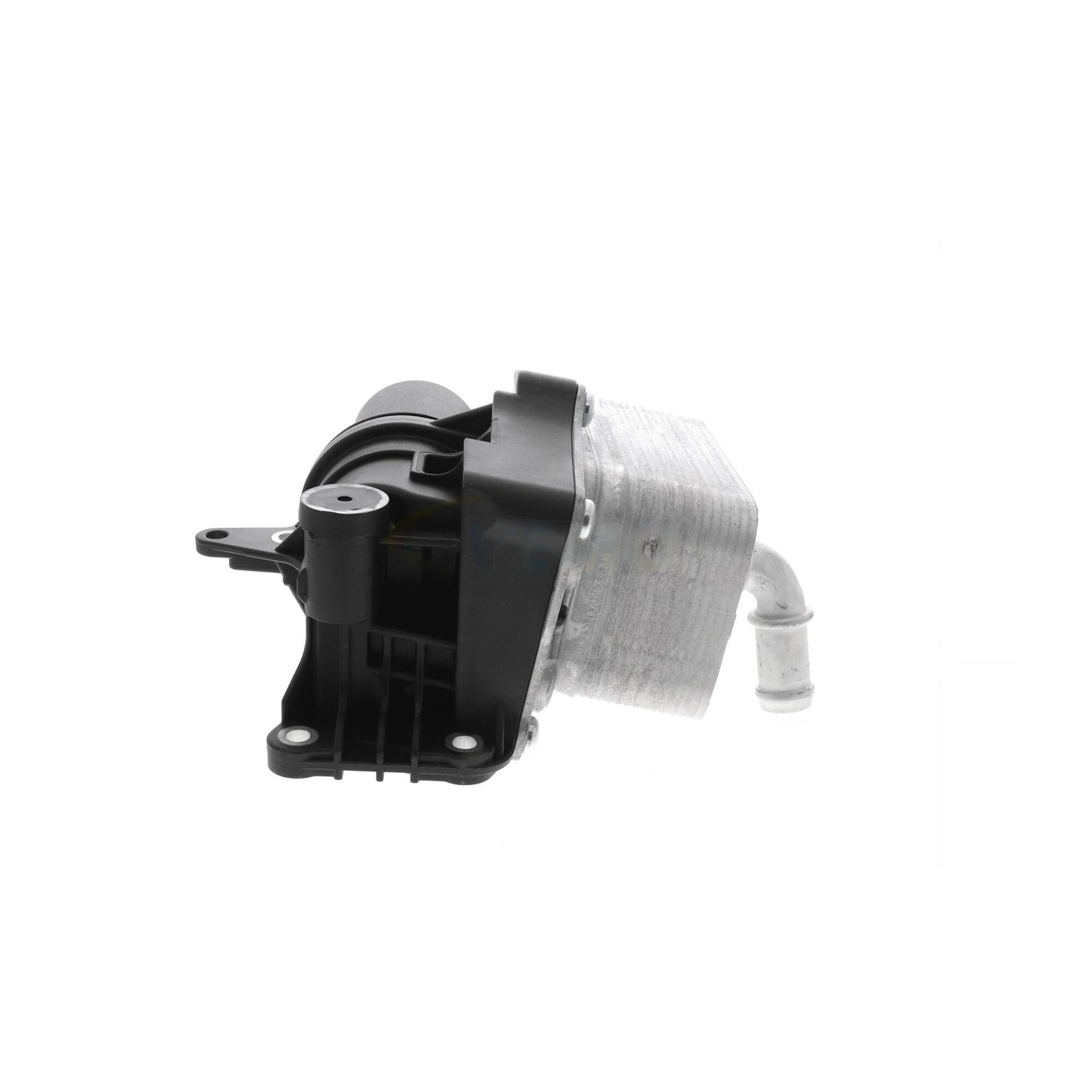 VEMO Engine Oil Cooler V30-60-1351