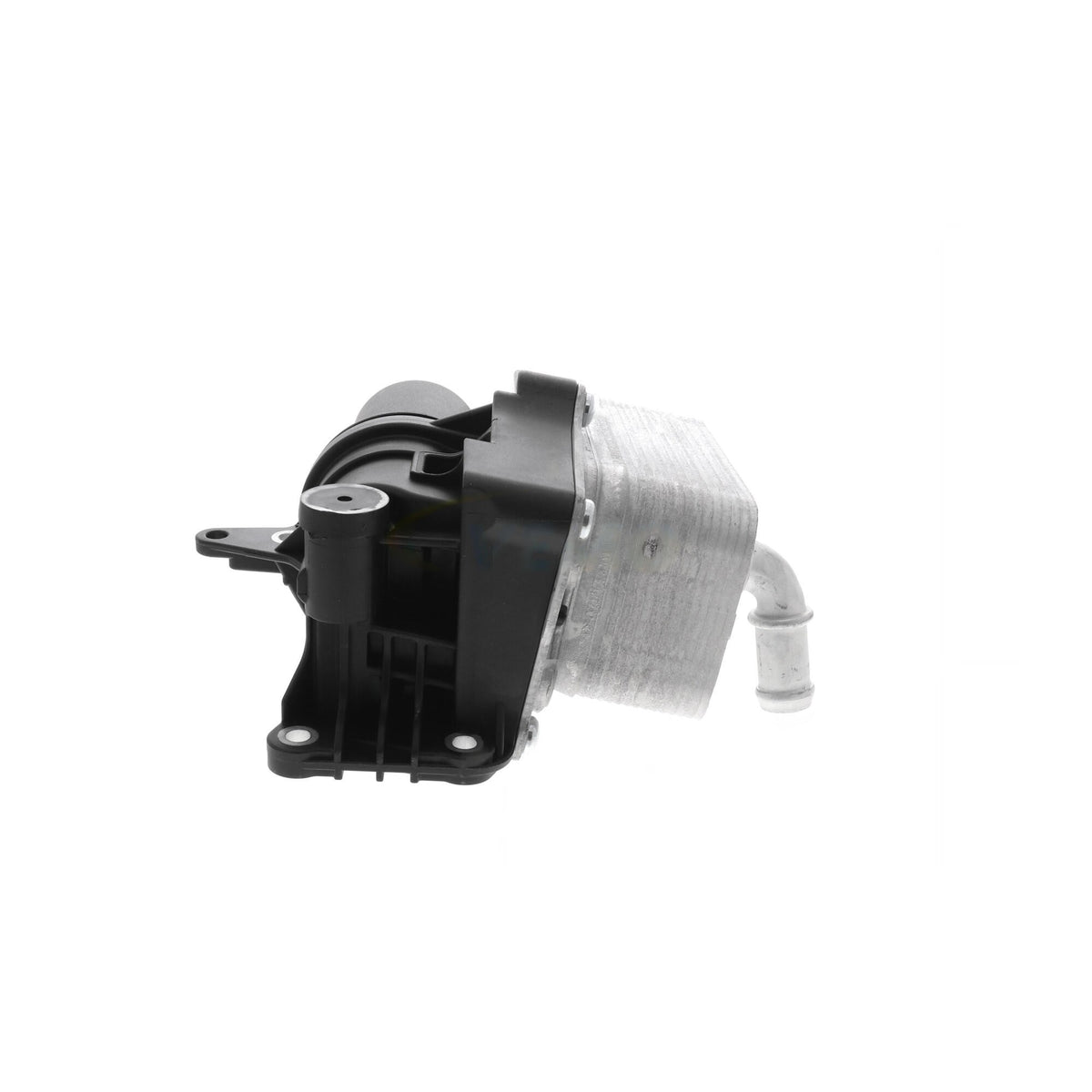 VEMO Engine Oil Cooler V30-60-1351