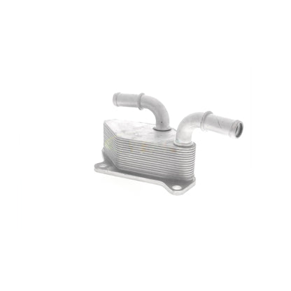 VEMO Engine Oil Cooler V40-60-2104