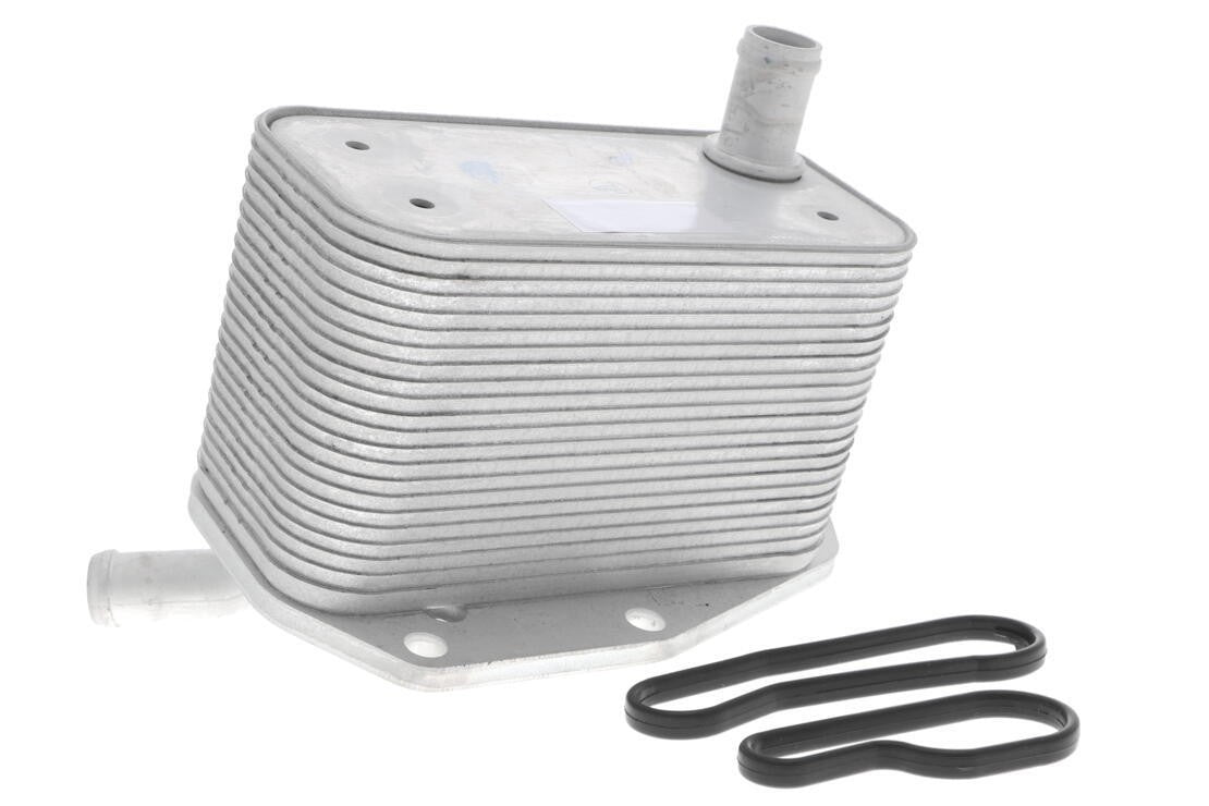 VEMO Engine Oil Cooler V48-60-0022