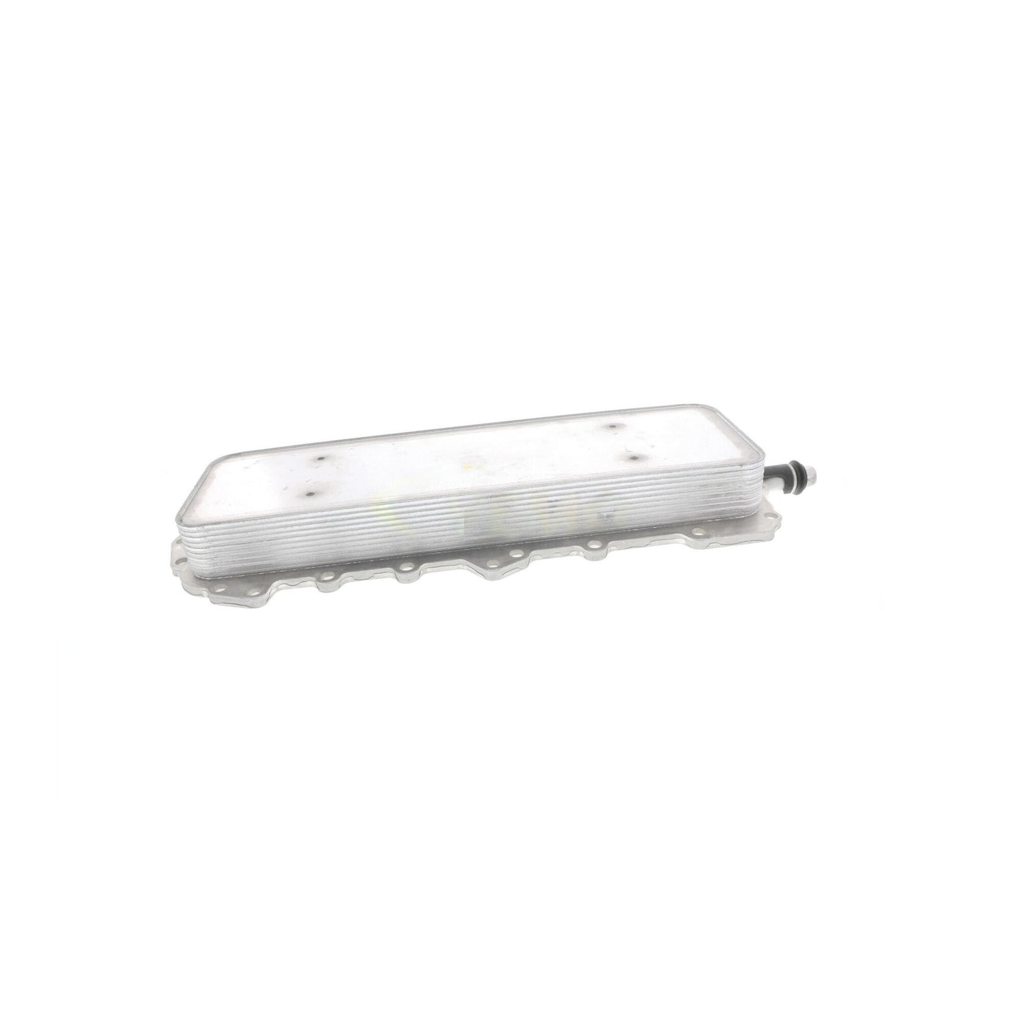 VEMO Engine Oil Cooler V48-60-0024