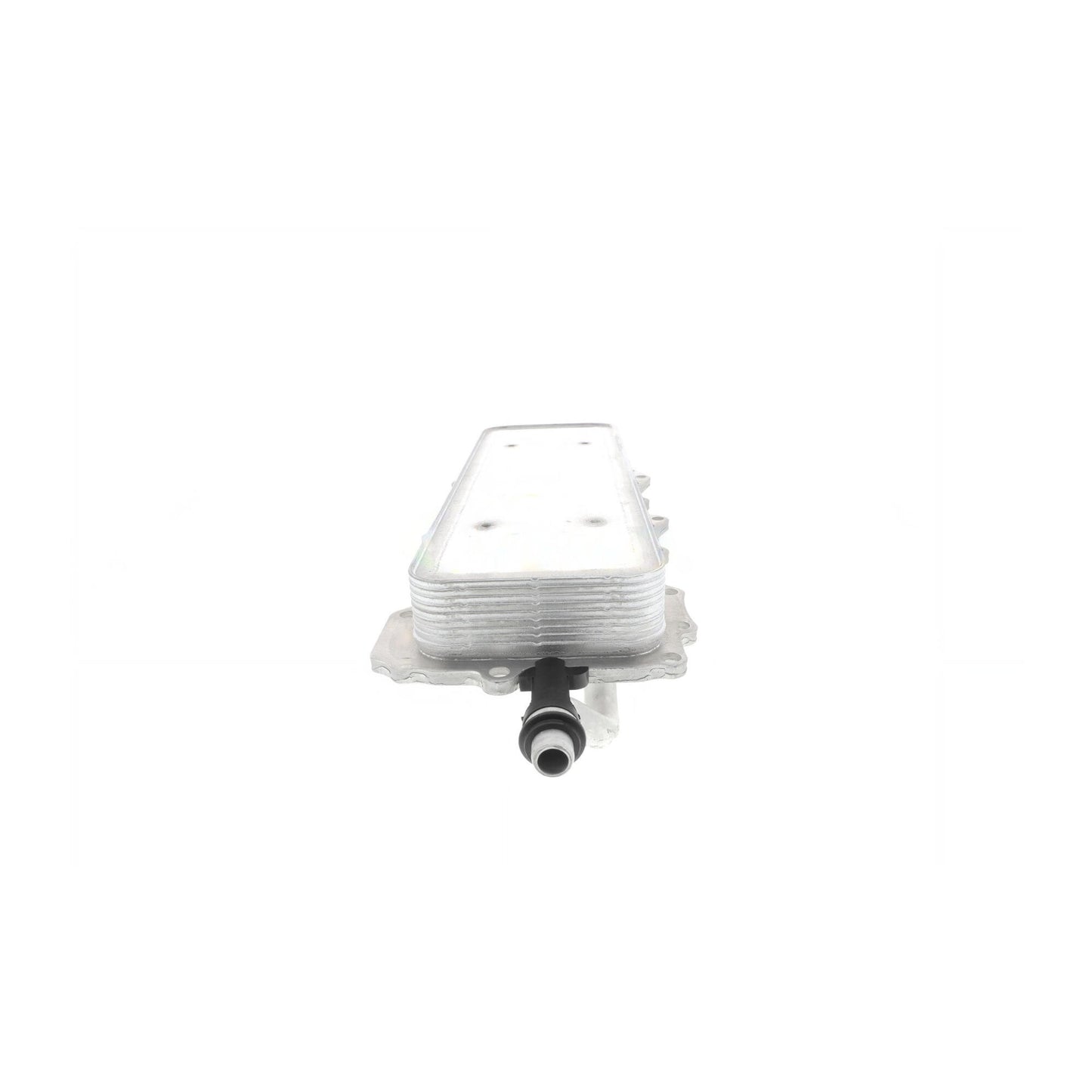 VEMO Engine Oil Cooler V48-60-0024