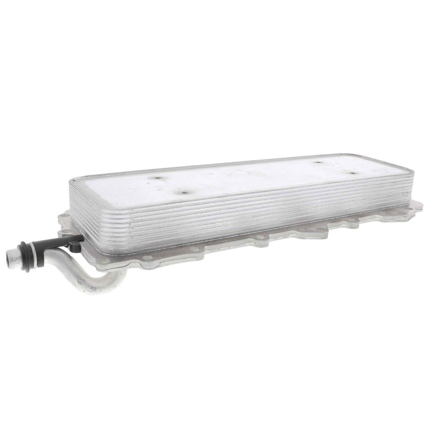 VEMO Engine Oil Cooler V48-60-0024