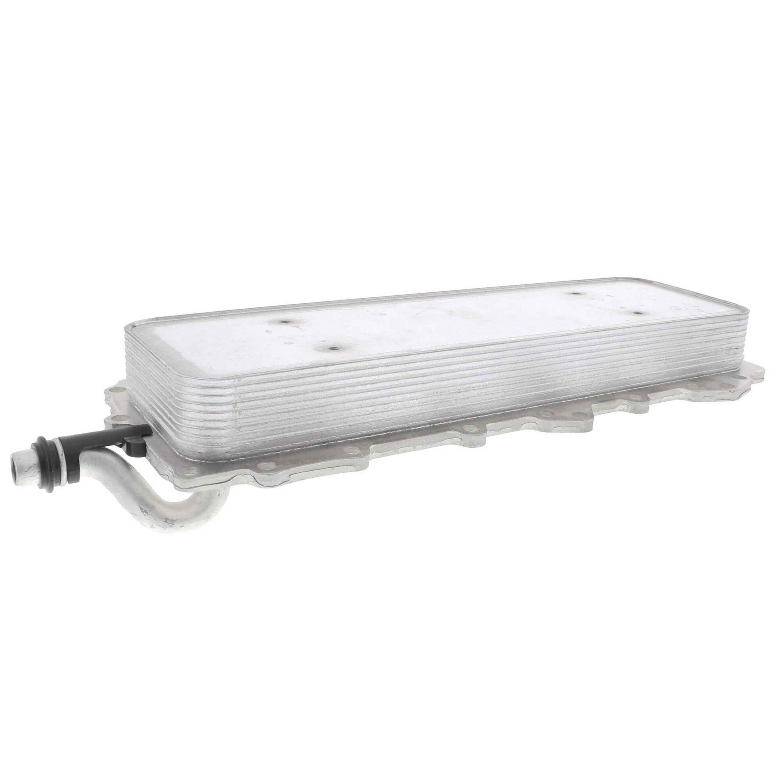 VEMO Engine Oil Cooler V48-60-0024