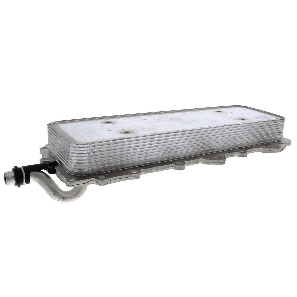 VEMO Engine Oil Cooler V48-60-0024