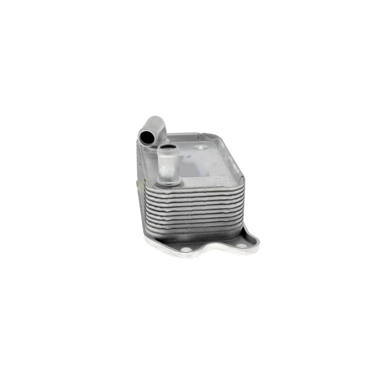 VEMO Engine Oil Cooler V95-60-0006