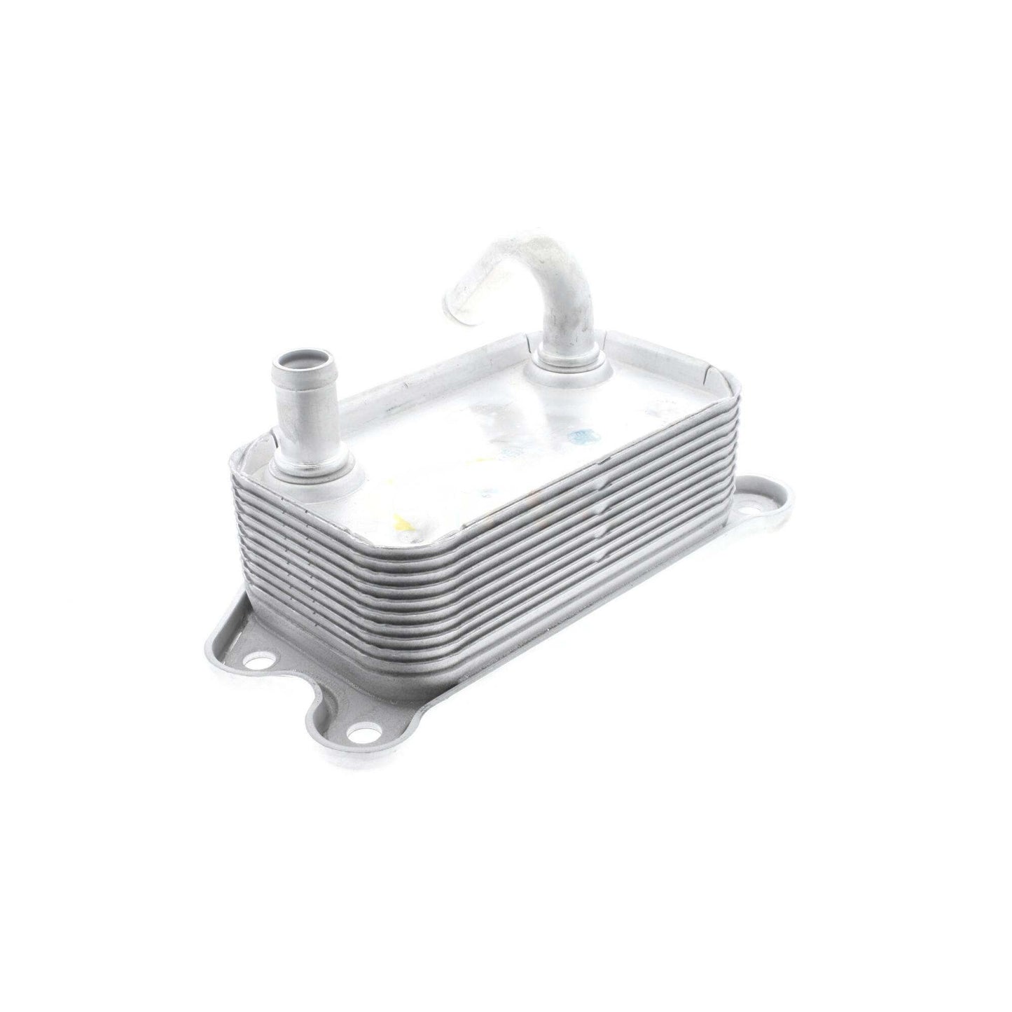 VEMO Engine Oil Cooler V95-60-0008