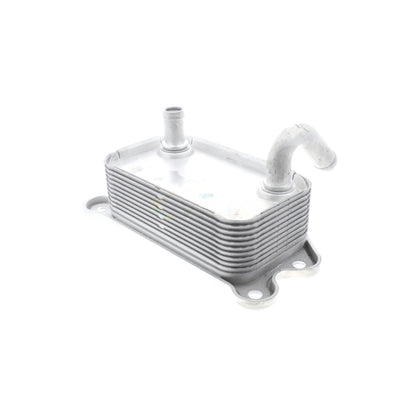 VEMO Engine Oil Cooler V95-60-0008