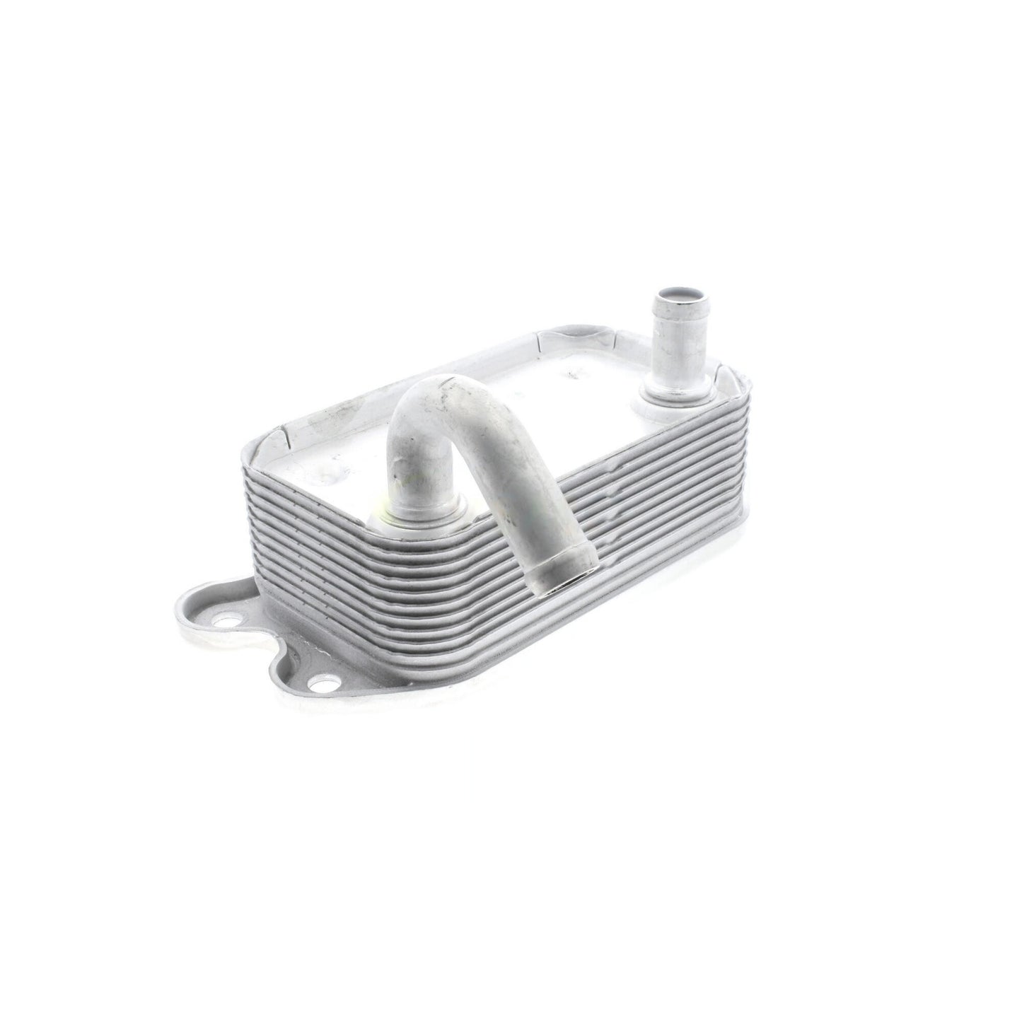 VEMO Engine Oil Cooler V95-60-0008