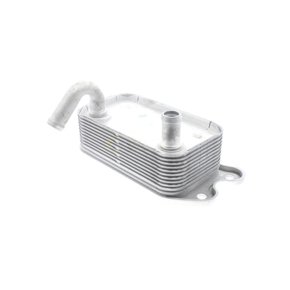 VEMO Engine Oil Cooler V95-60-0008