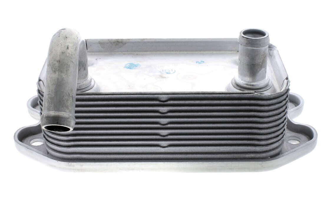 VEMO Engine Oil Cooler V95-60-0008