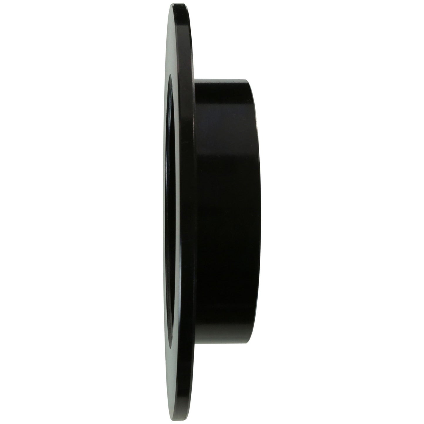 Wagner Brake Disc Brake Rotor BD125599E