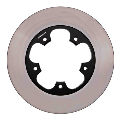 Wagner Brake Disc Brake Rotor DSX180665E