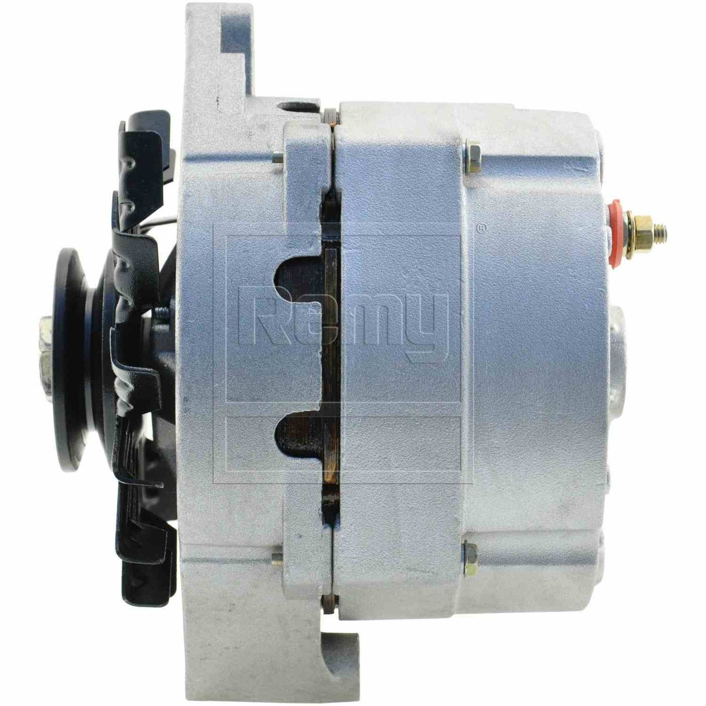 Remy Electrical 20211