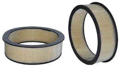 Wix Air Filter 42060
