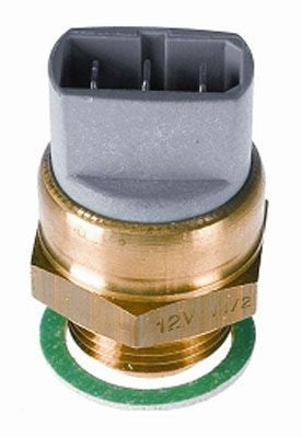 Wahler 6017.95D