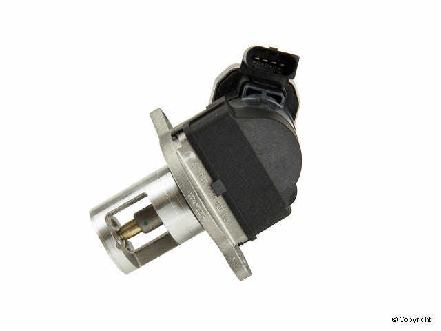 Wahler EGR Valve