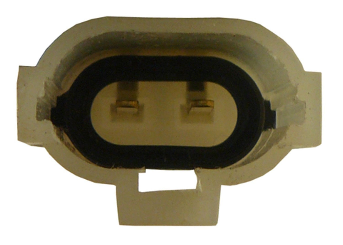 ACI Power Window Motor 388562