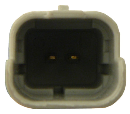 ACI Power Window Motor 389036