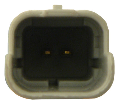 ACI Power Window Motor 389036