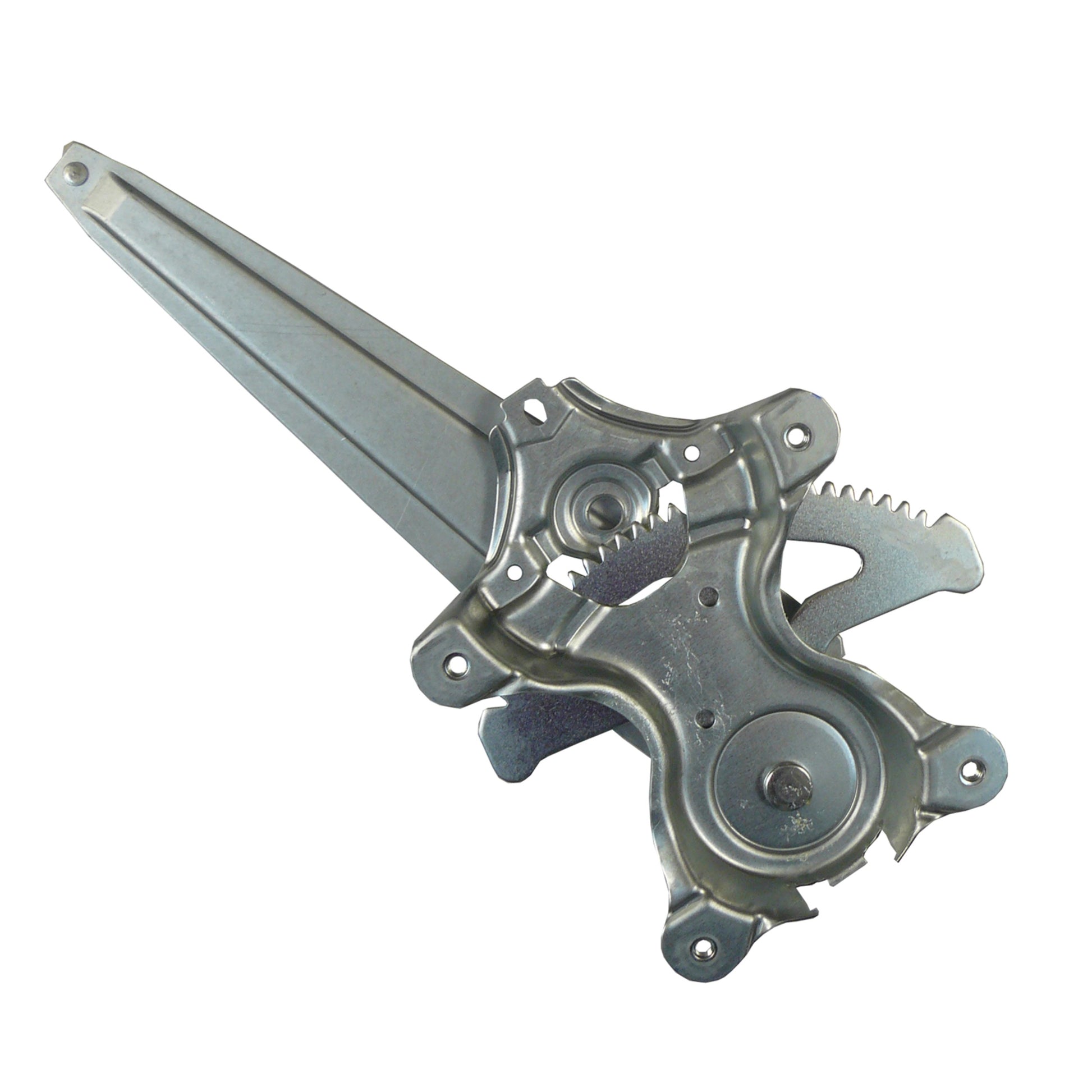 WAI 380011 image 2